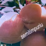 Dariu Plant - Pepiniera Pomi Fructiferi