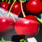 Dariu Plant - Pepiniera Pomi Fructiferi