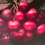 Dariu Plant - Pepiniera Pomi Fructiferi